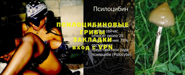 круглые Армянск