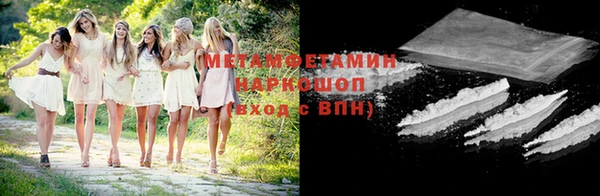ГАЛЛЮЦИНОГЕННЫЕ ГРИБЫ Аркадак