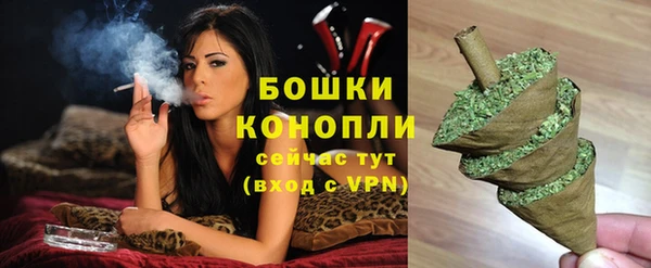 ГАЛЛЮЦИНОГЕННЫЕ ГРИБЫ Аркадак